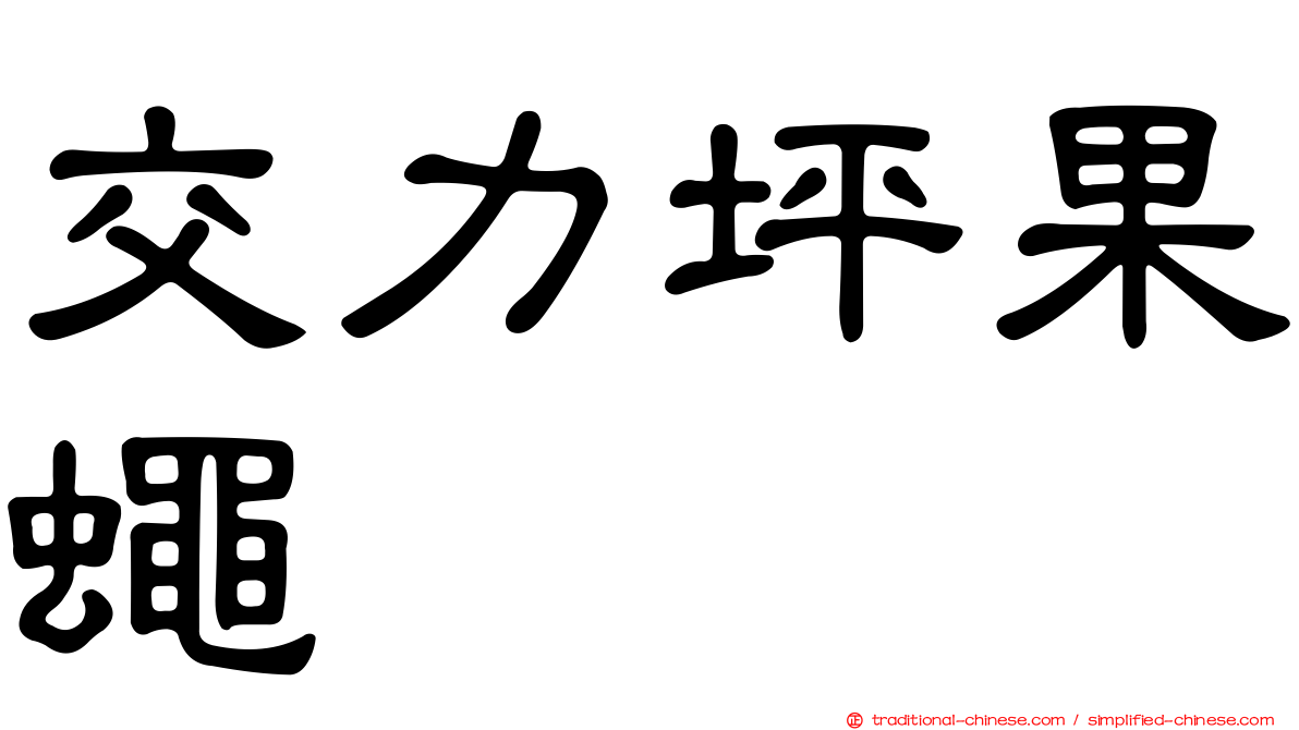 交力坪果蠅