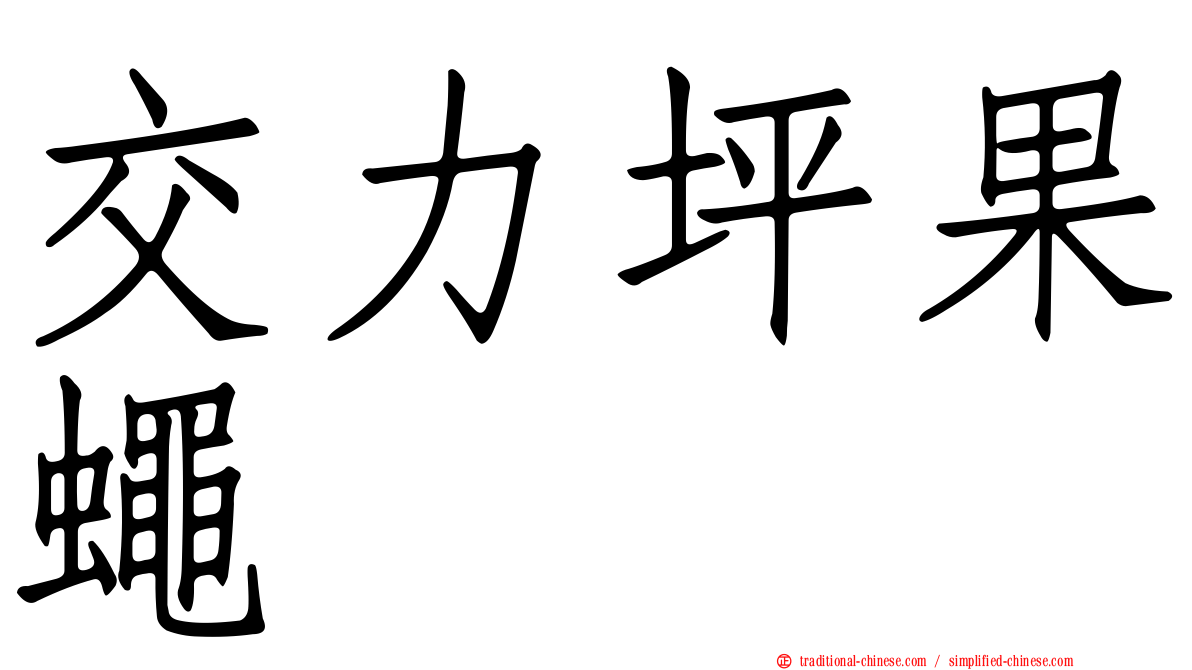 交力坪果蠅