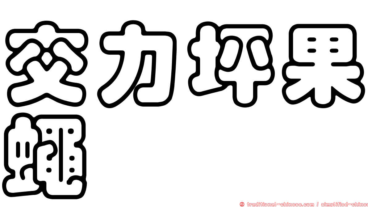 交力坪果蠅