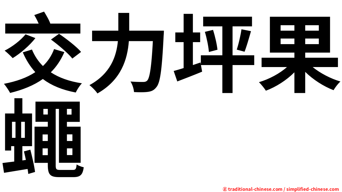 交力坪果蠅