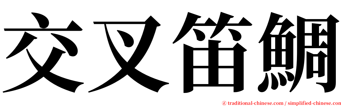 交叉笛鯛 serif font