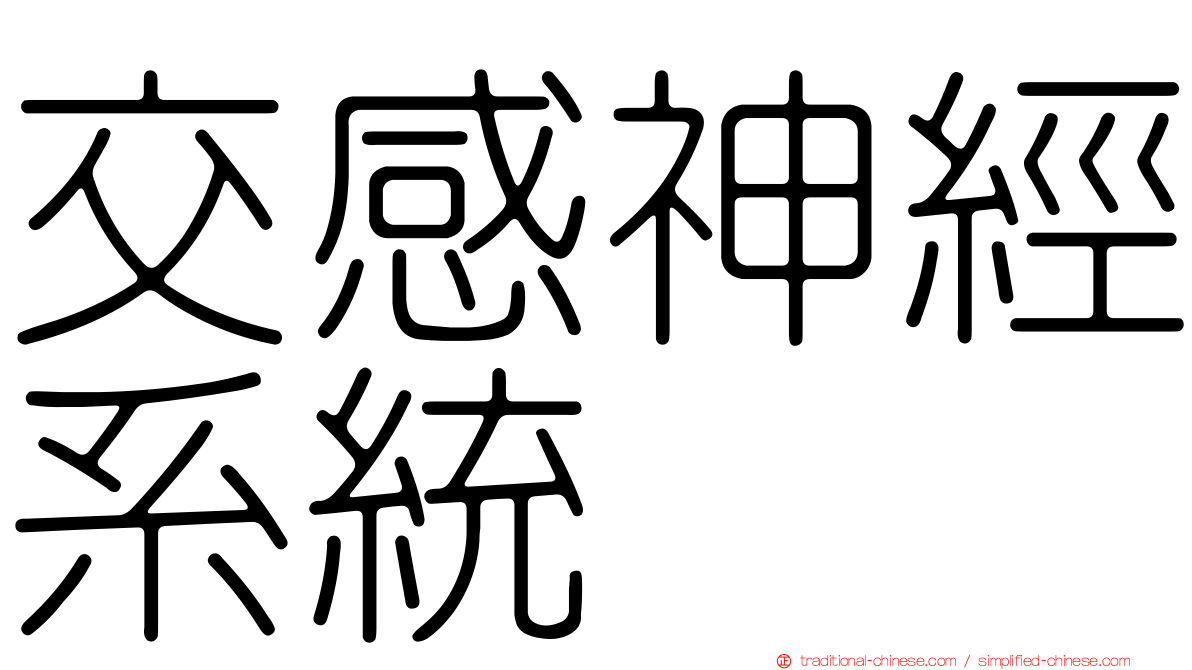 交感神經系統