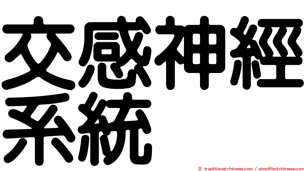 交感神經系統