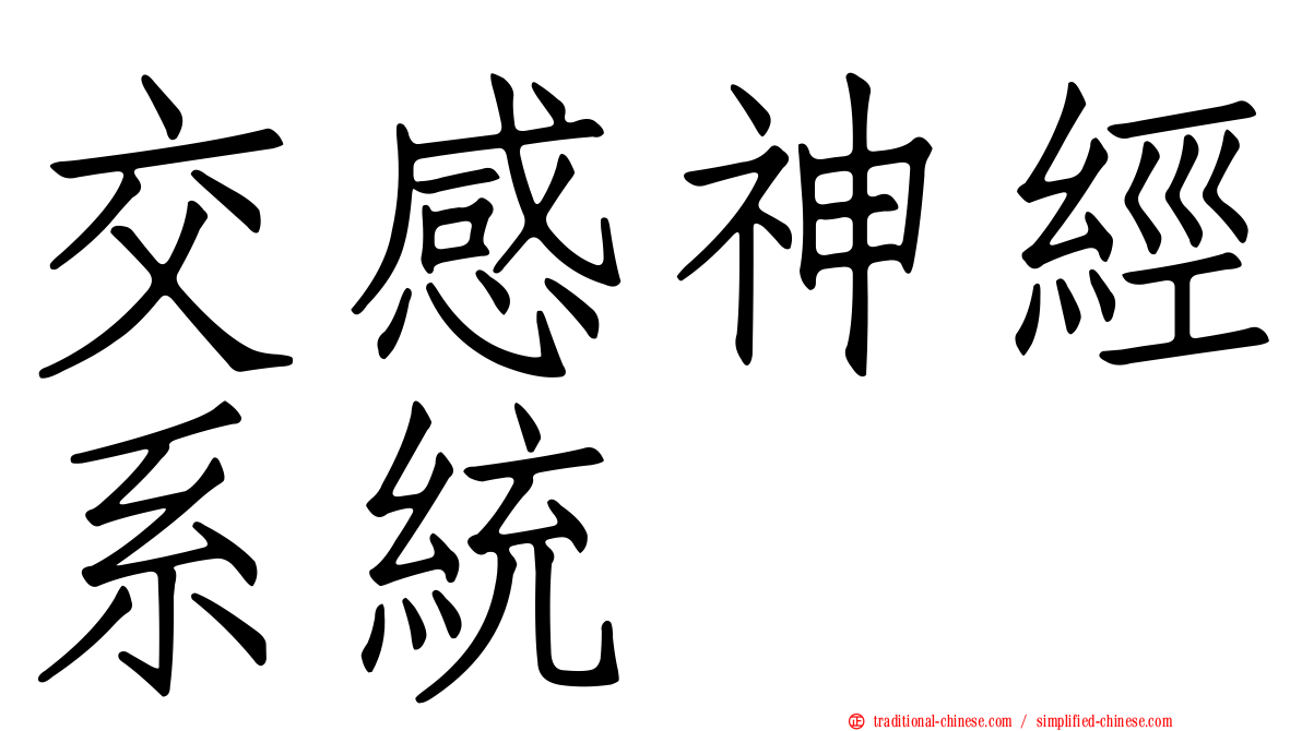 交感神經系統