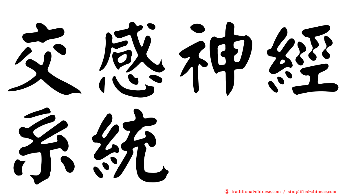 交感神經系統