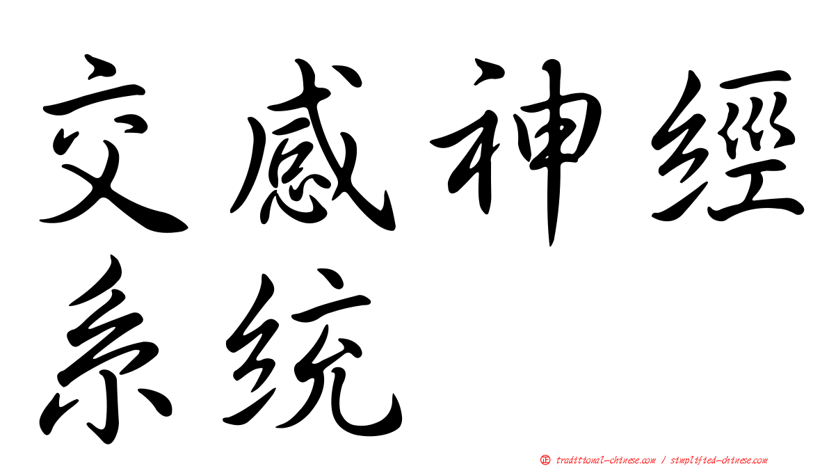 交感神經系統