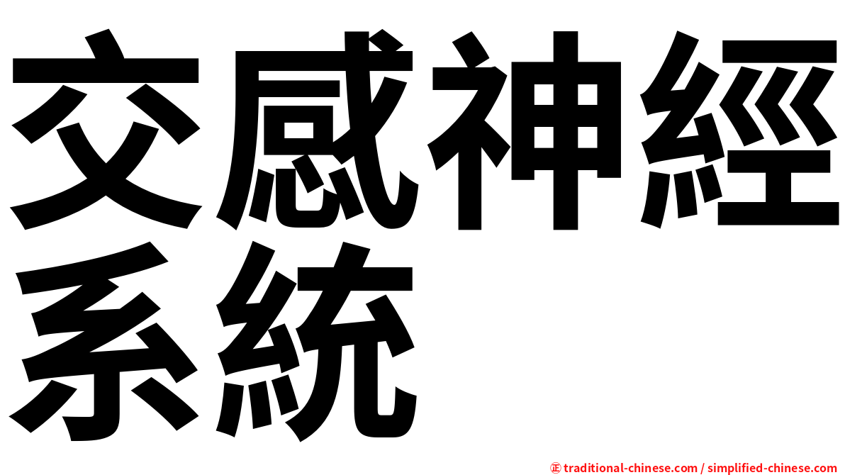 交感神經系統