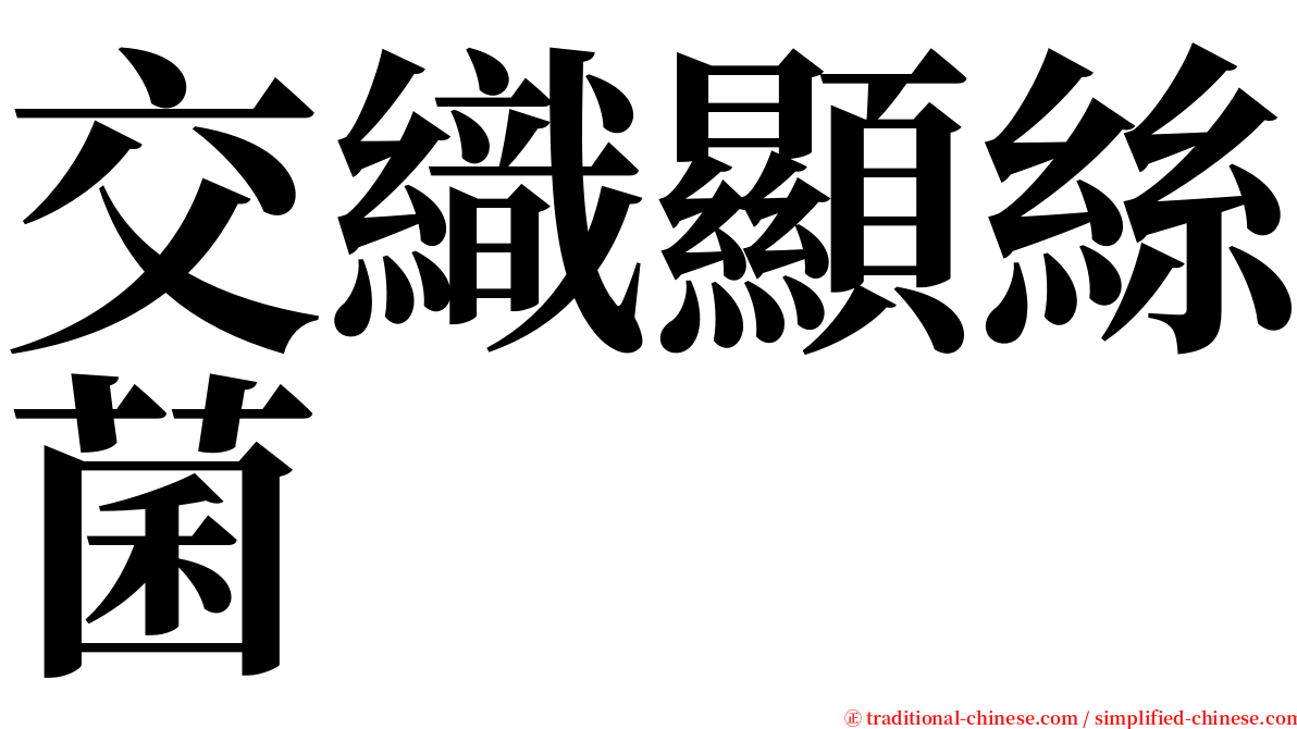 交織顯絲菌 serif font