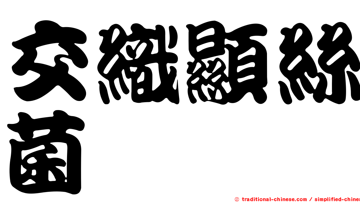 交織顯絲菌