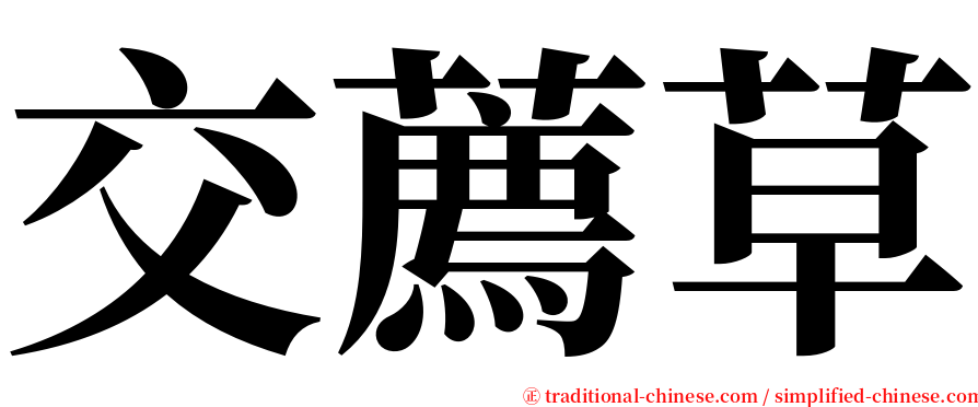 交薦草 serif font