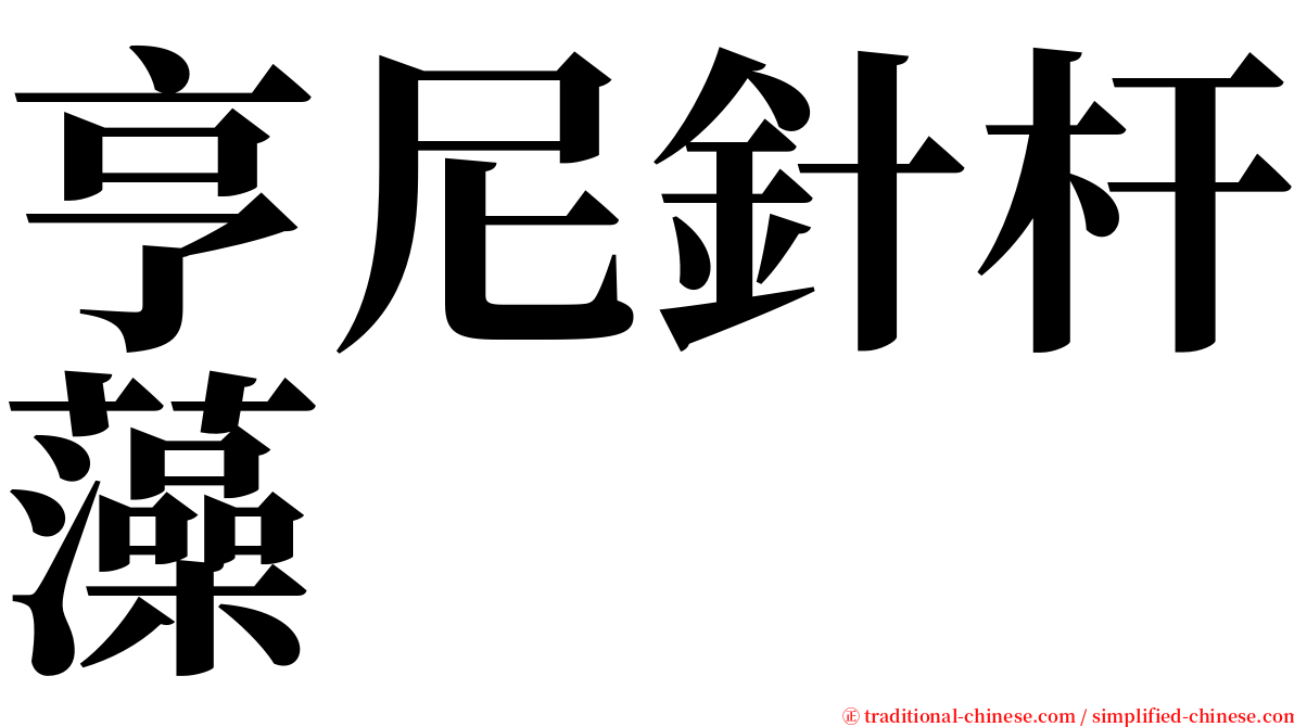 亨尼針杆藻 serif font