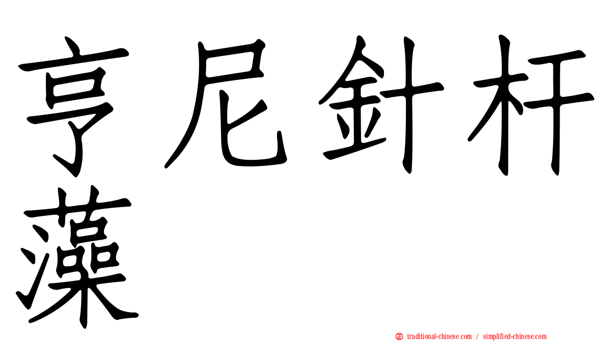 亨尼針杆藻