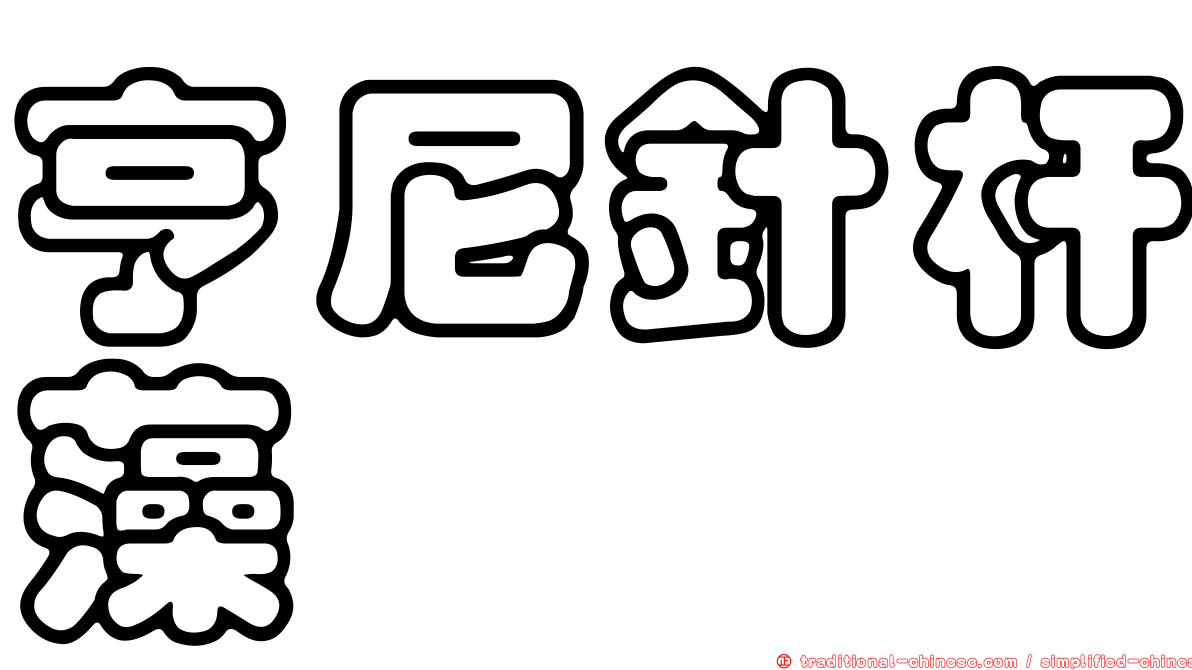 亨尼針杆藻