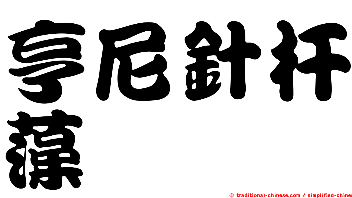 亨尼針杆藻