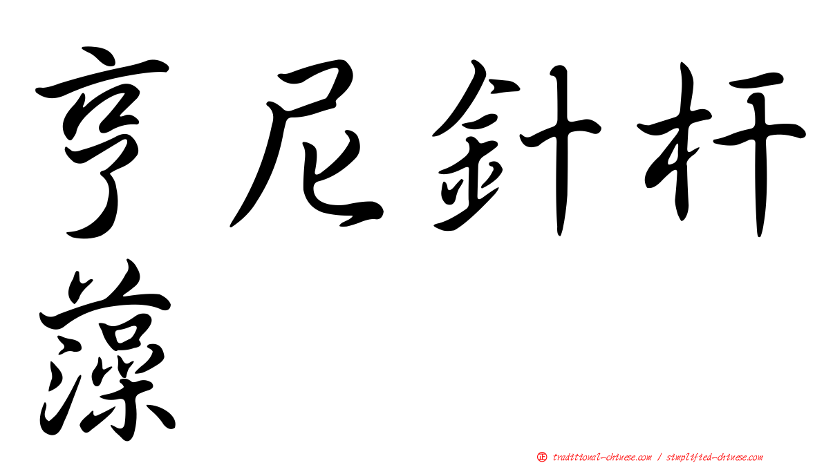 亨尼針杆藻