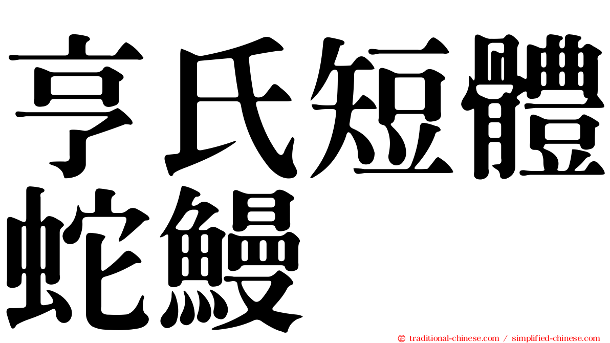 亨氏短體蛇鰻