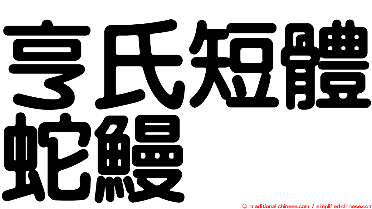亨氏短體蛇鰻