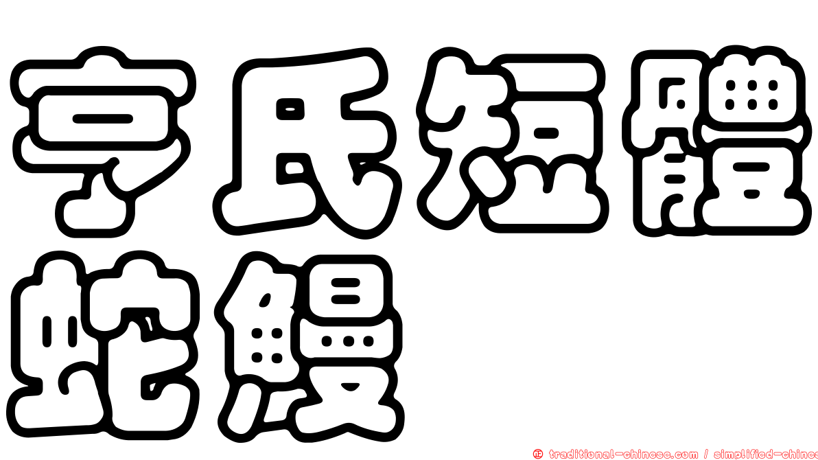 亨氏短體蛇鰻