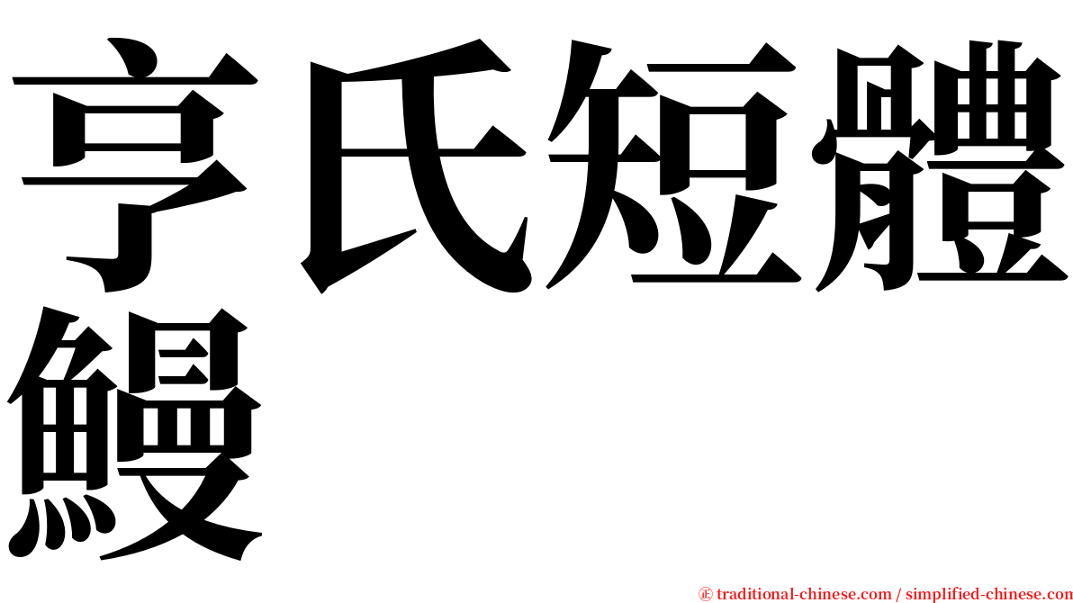亨氏短體鰻 serif font
