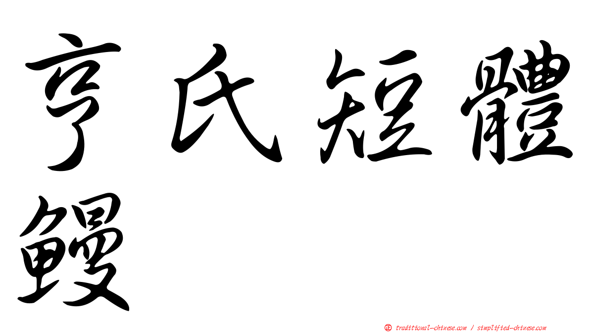 亨氏短體鰻