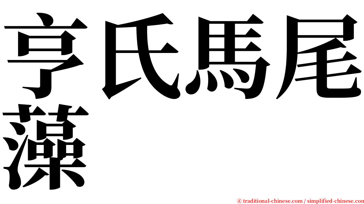 亨氏馬尾藻 serif font