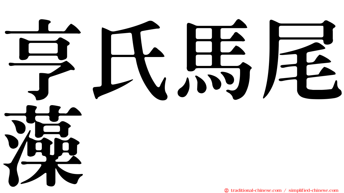 亨氏馬尾藻