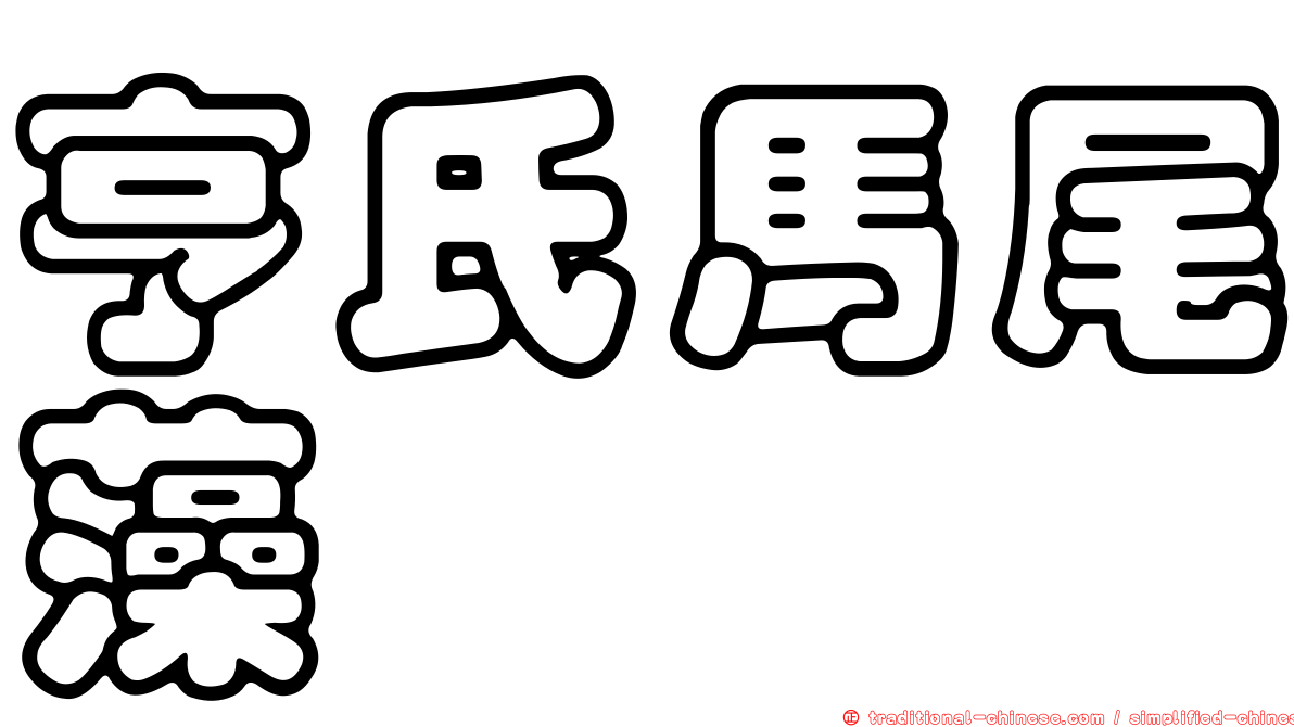 亨氏馬尾藻