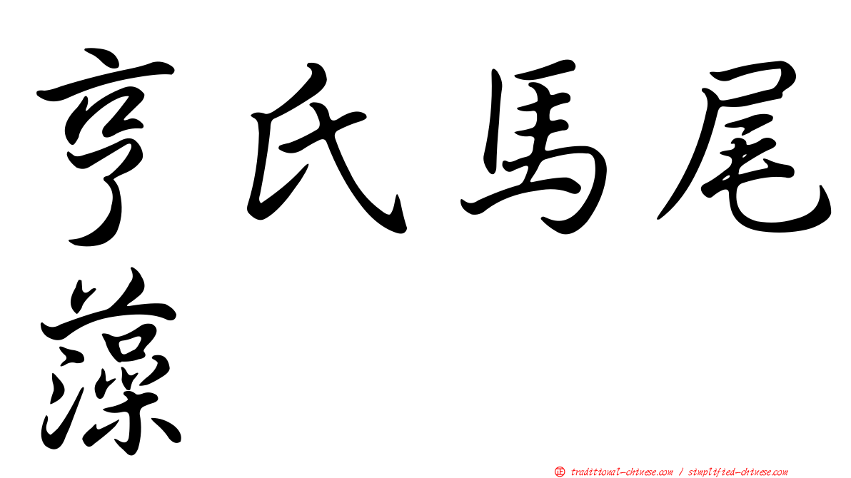 亨氏馬尾藻