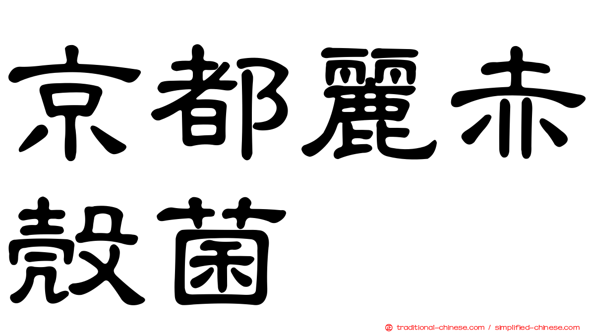 京都麗赤殼菌