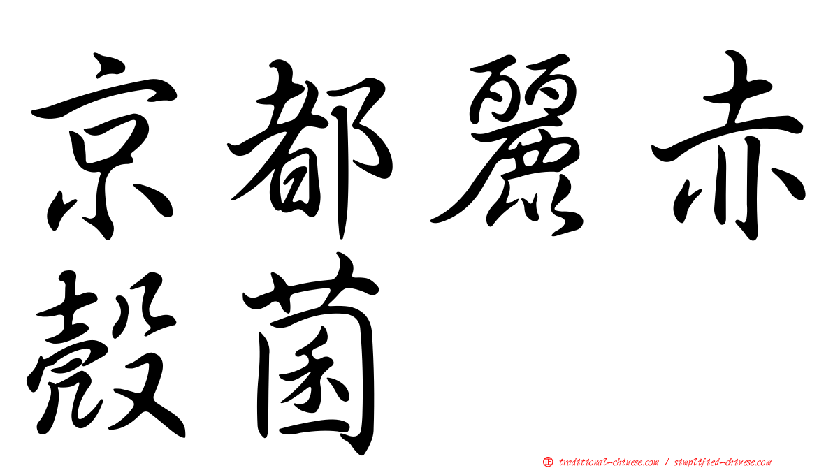 京都麗赤殼菌
