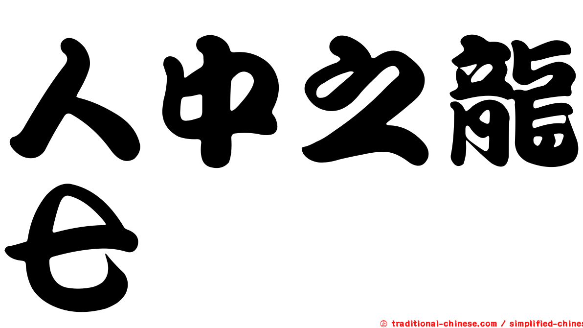 人中之龍七