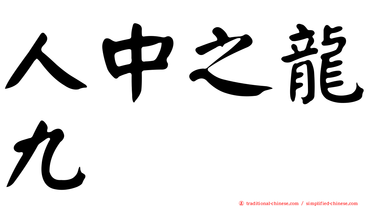 人中之龍九