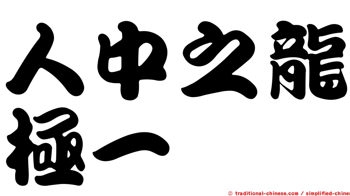 人中之龍極一