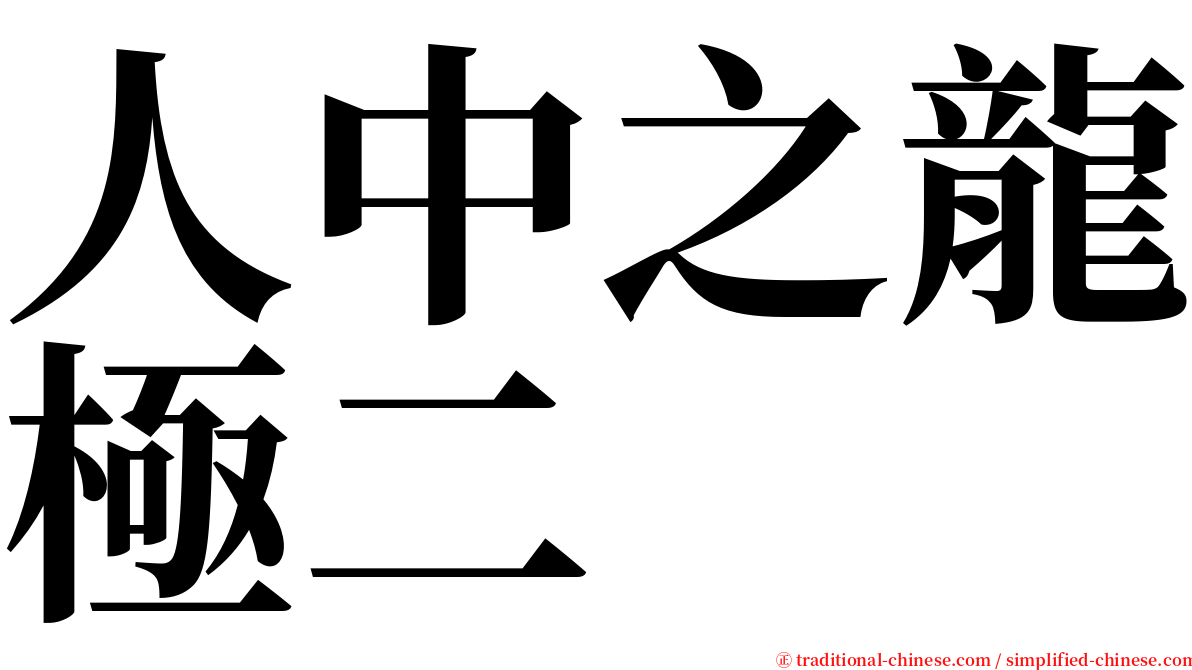 人中之龍極二 serif font