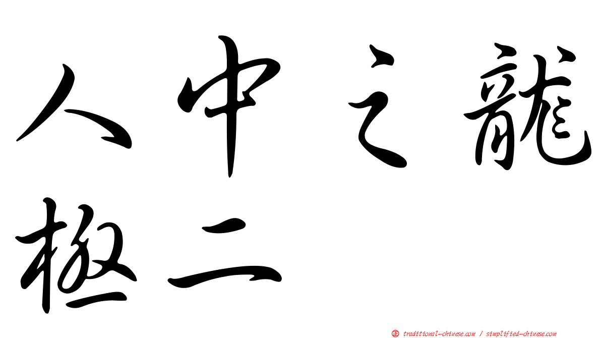 人中之龍極二