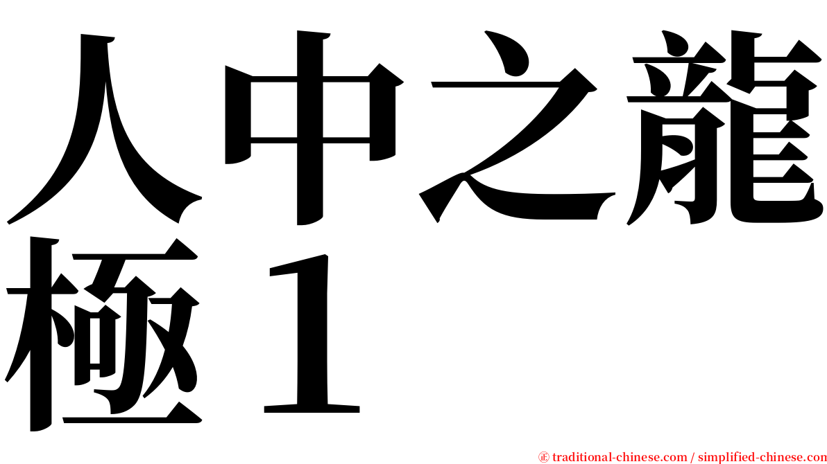 人中之龍極１ serif font