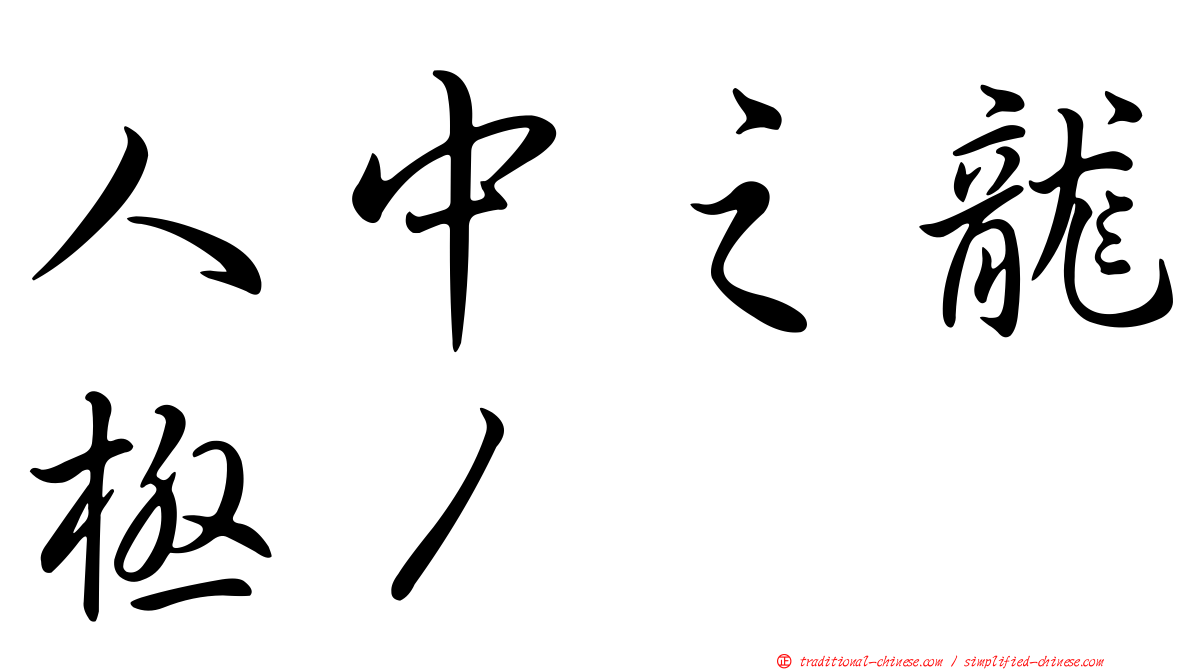 人中之龍極１