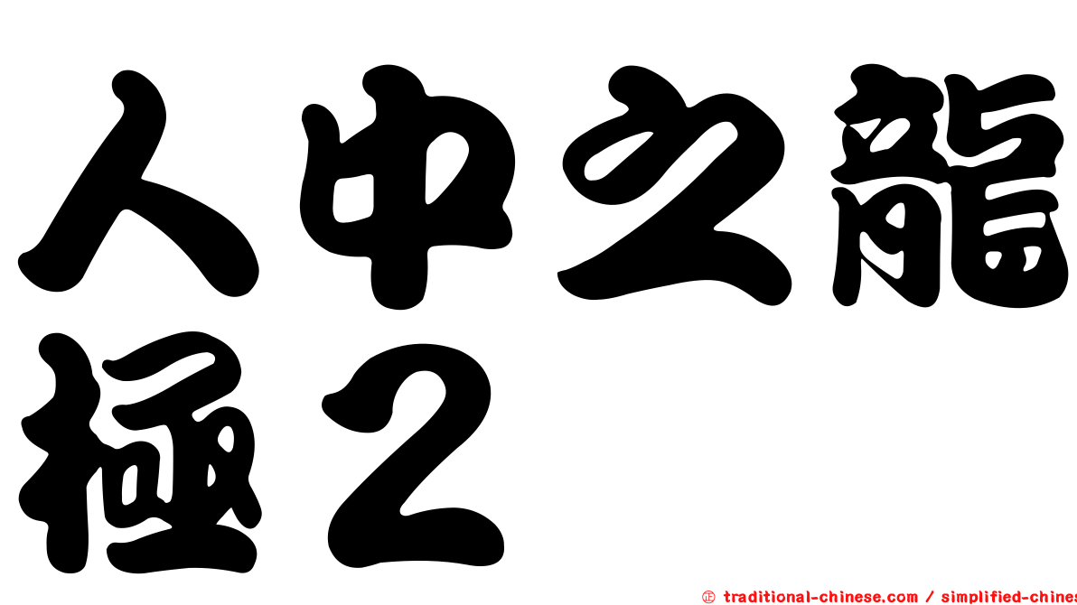 人中之龍極２