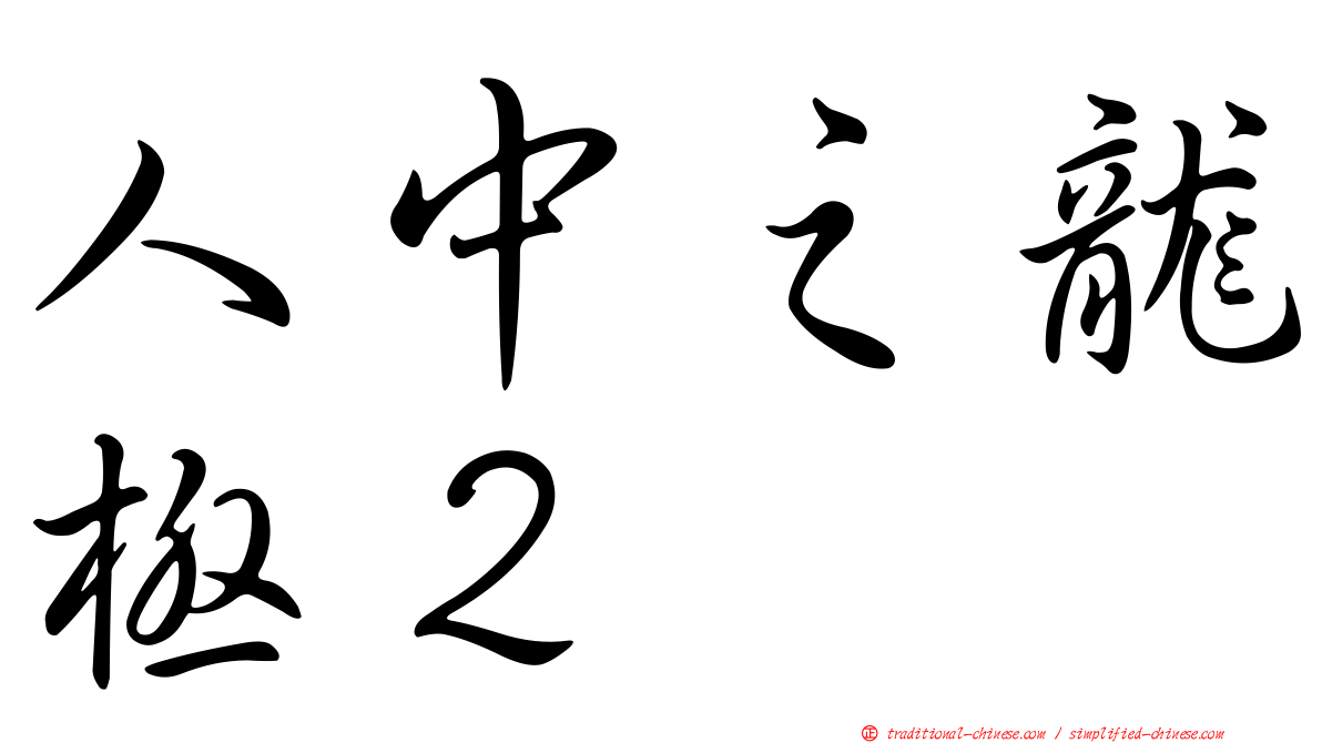 人中之龍極２