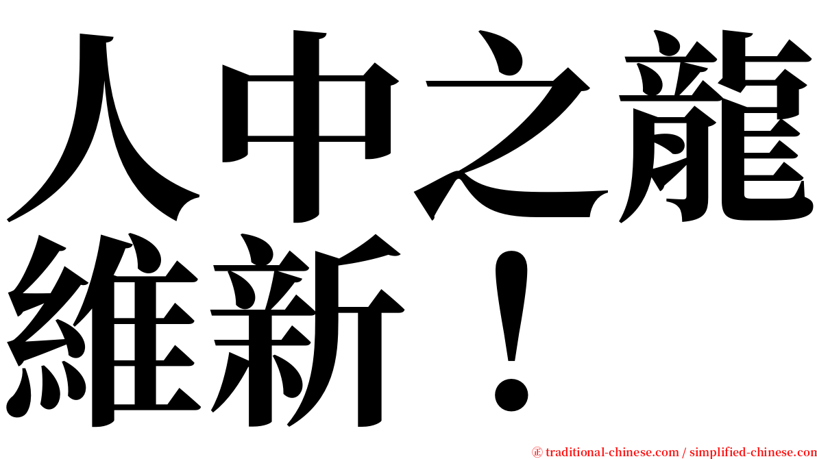 人中之龍維新！ serif font