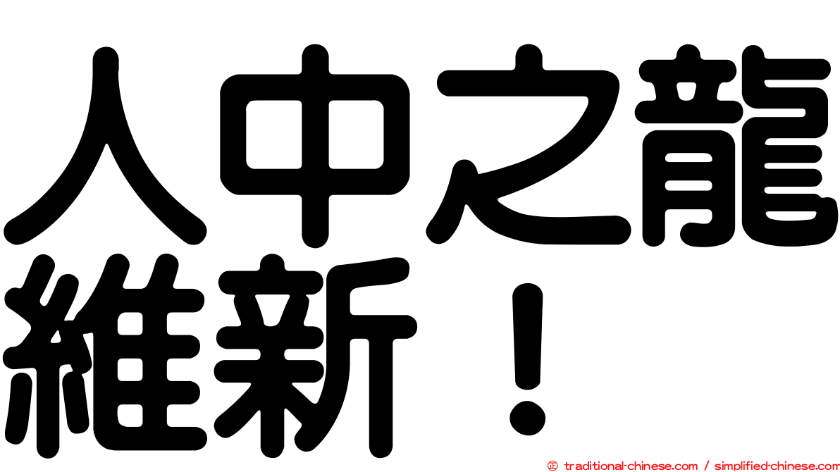 人中之龍維新！