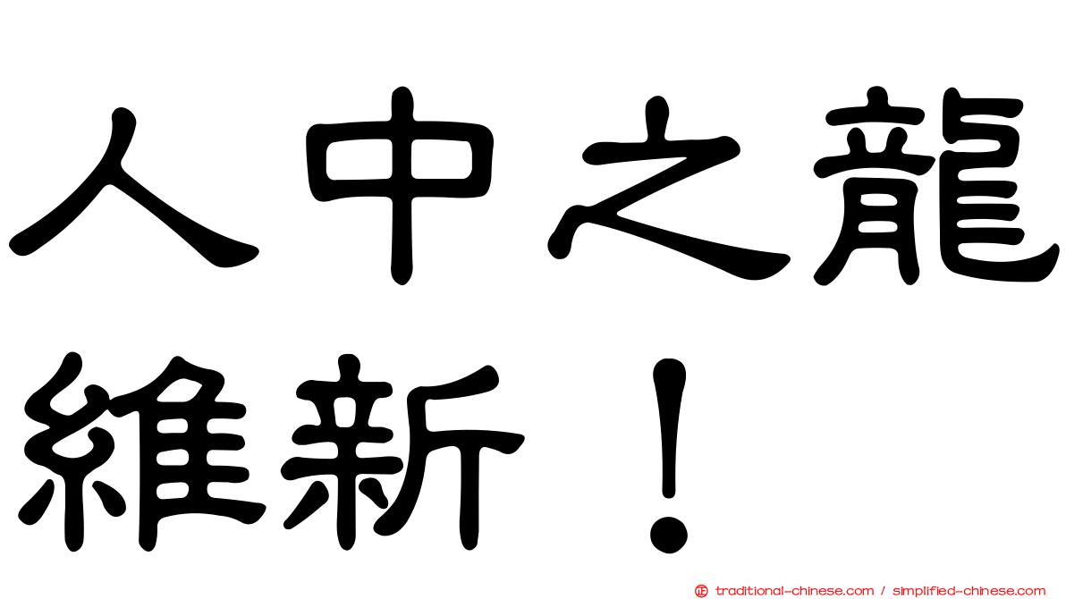 人中之龍維新！
