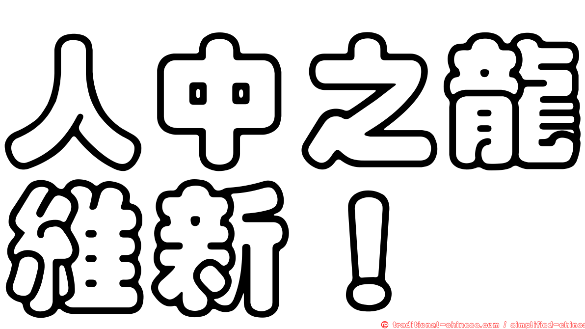 人中之龍維新！