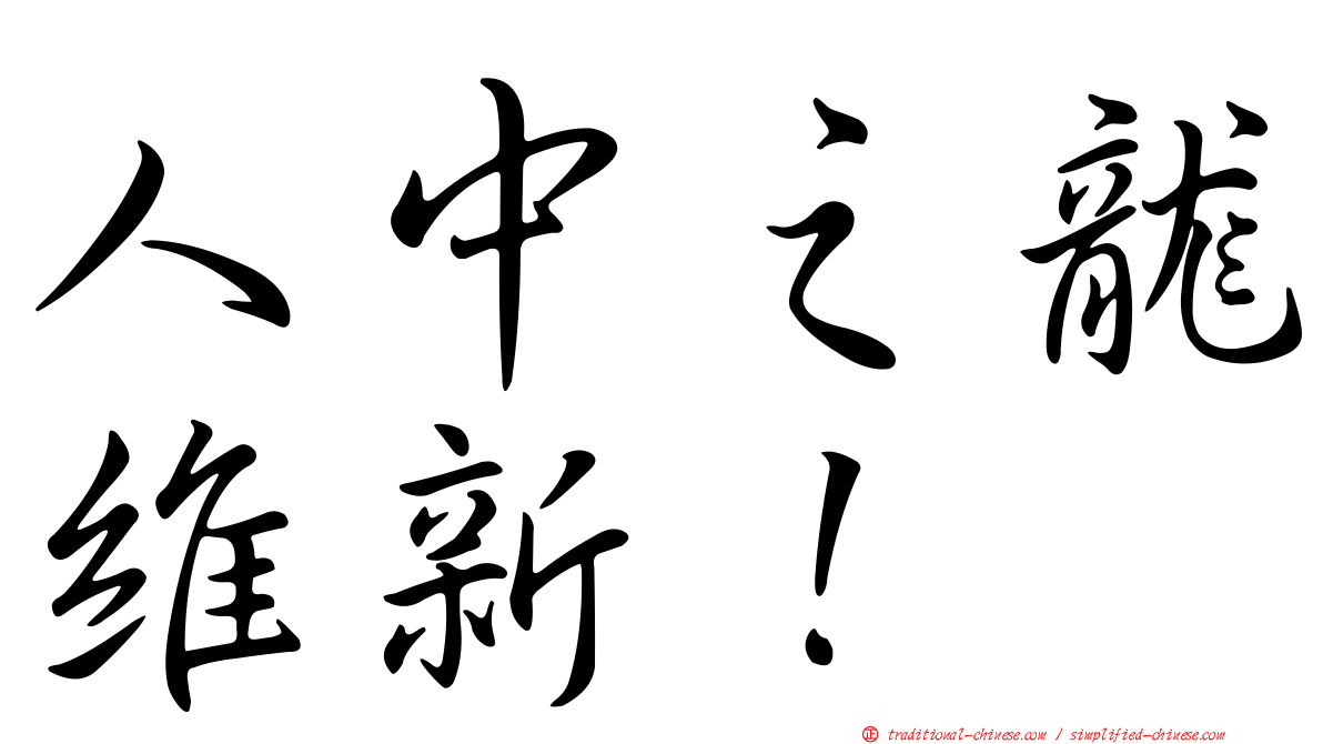 人中之龍維新！