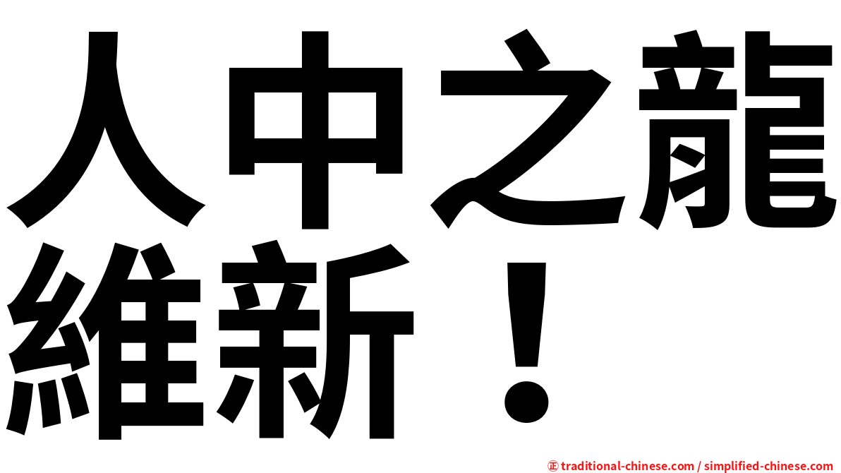 人中之龍維新！