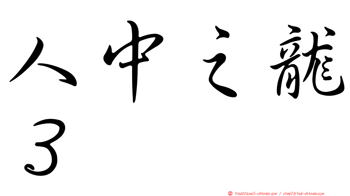 人中之龍３