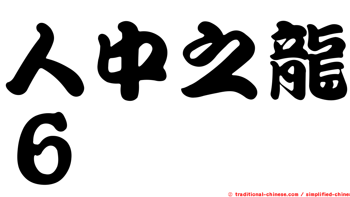 人中之龍６