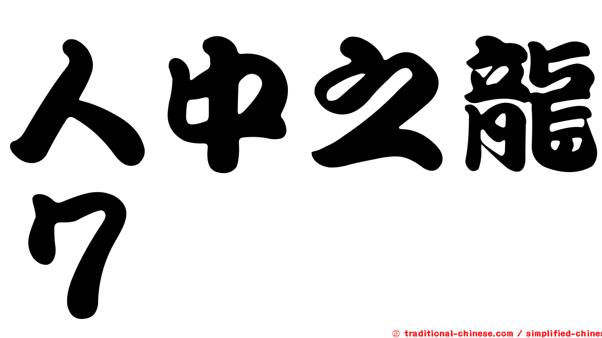 人中之龍７