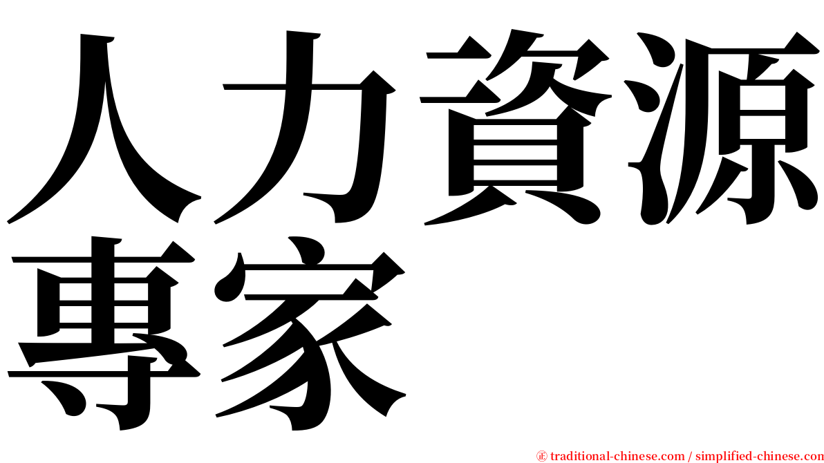 人力資源專家 serif font