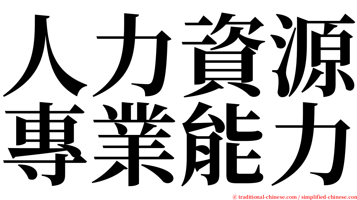 人力資源專業能力 serif font
